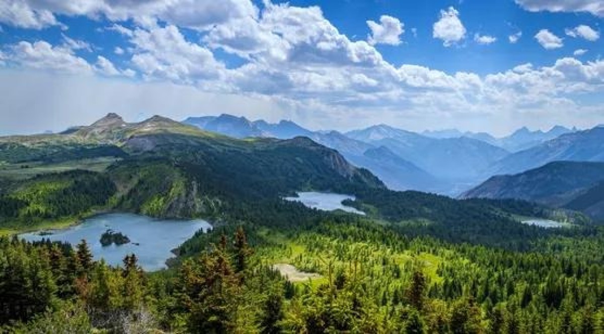 静谧森林湖泊 清新自然图